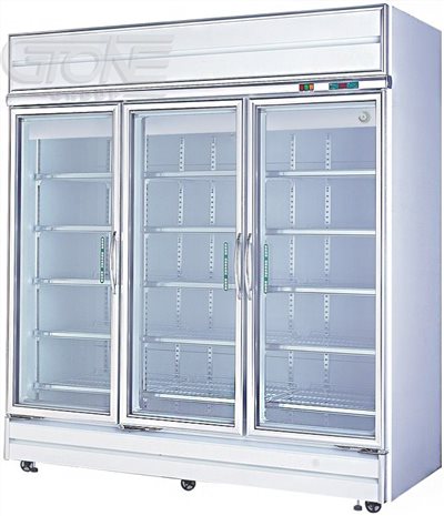 瑞興 三門冷藏展示冰箱 RS-S2009S