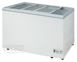 瑞興5尺玻璃對拉冰櫃_RS-DF500